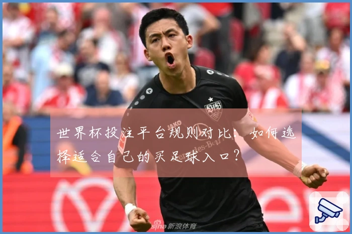 世界杯投注平台规则对比：如何选择适合自己的买足球入口？