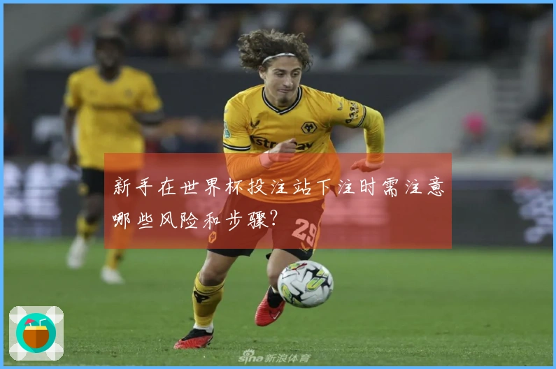 新手在世界杯投注站下注时需注意哪些风险和步骤？