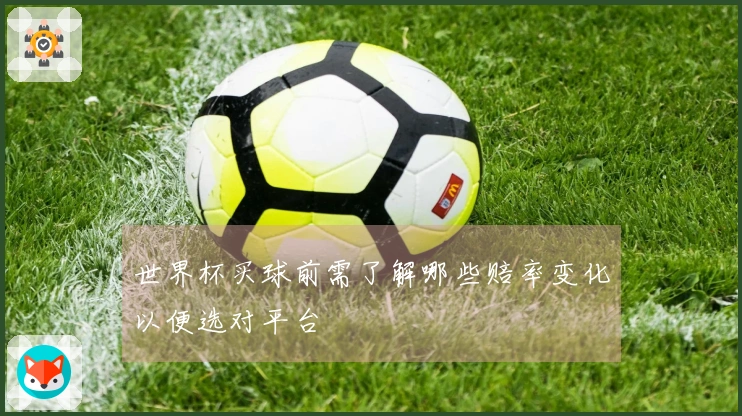 世界杯买球前需了解哪些赔率变化以便选对平台