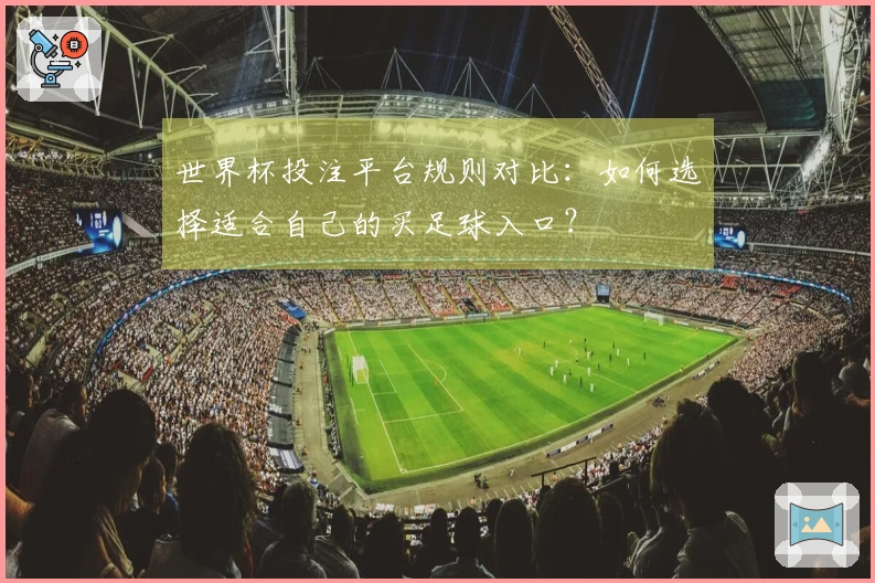 世界杯投注平台规则对比：如何选择适合自己的买足球入口？