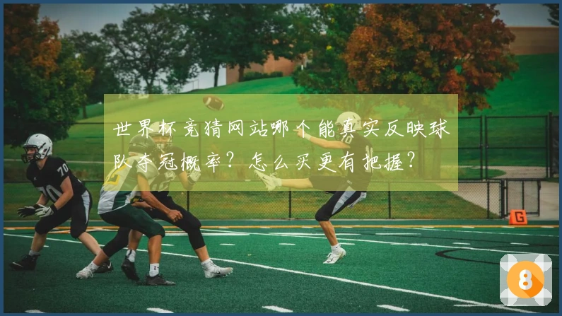 世界杯竞猜网站哪个能真实反映球队夺冠概率？怎么买更有把握？